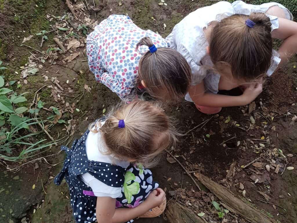 girls observing ants