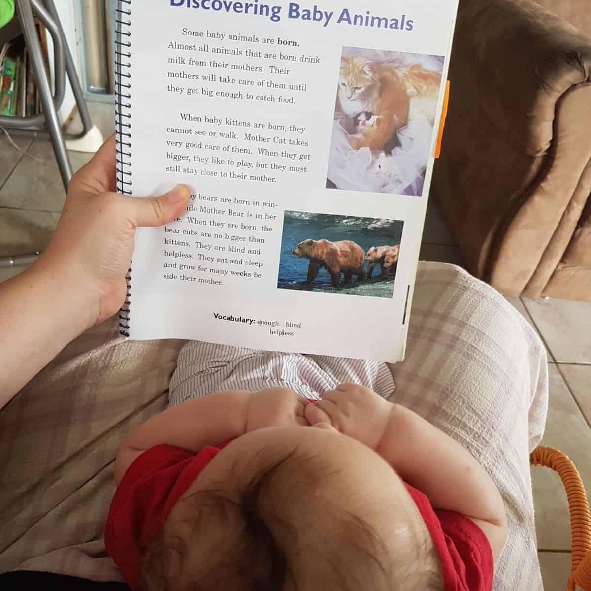 baby looking at book