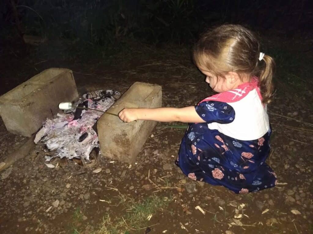 little girl roasting marshmallows