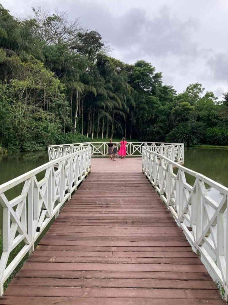 children on a bridge over a pond