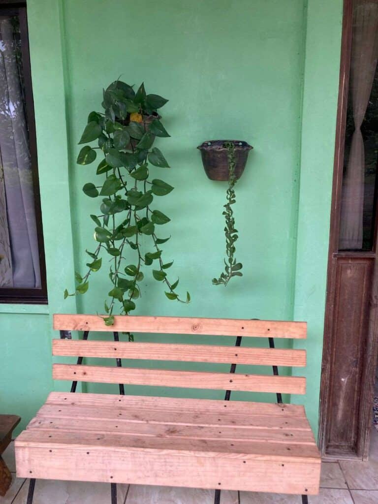 hanging plants and a wooden bench