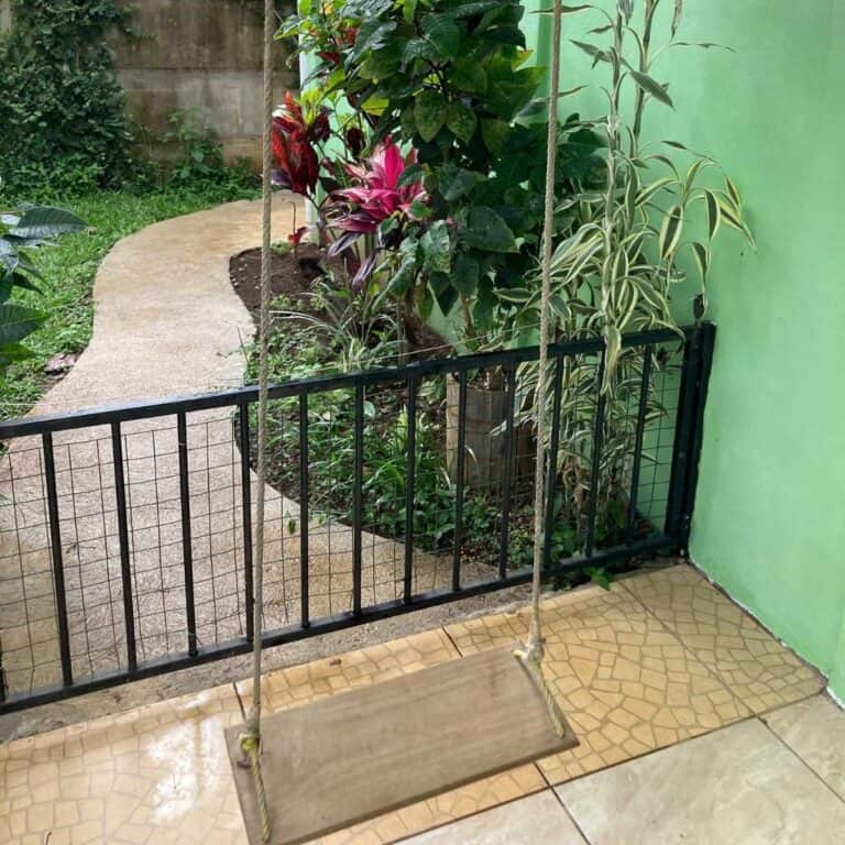 swing, walk, and plants by a house