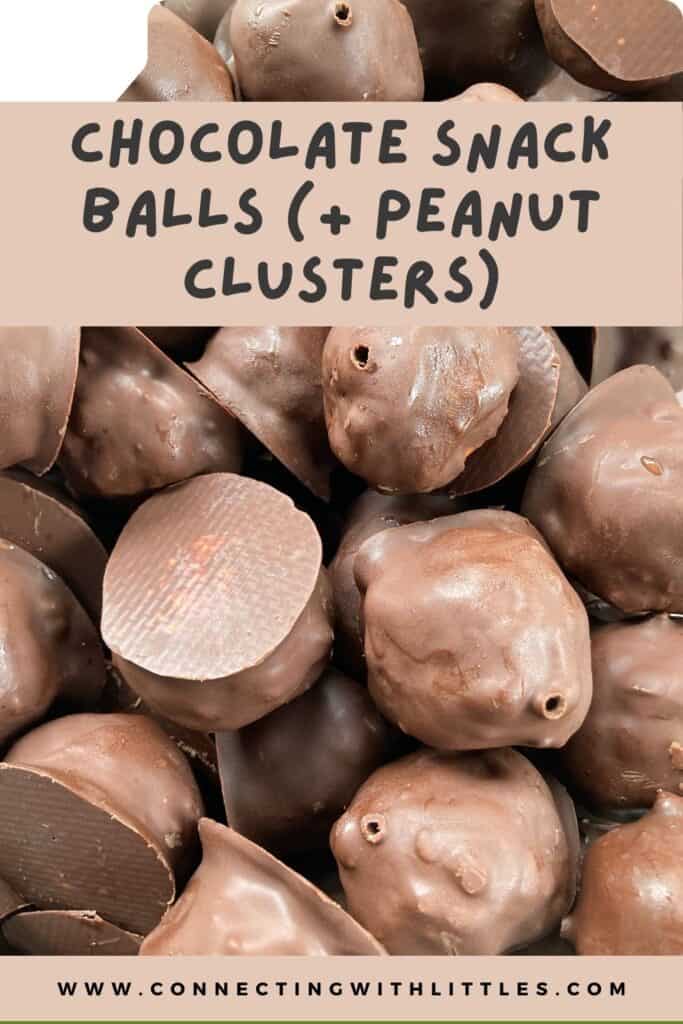 chocolate snack balls pin